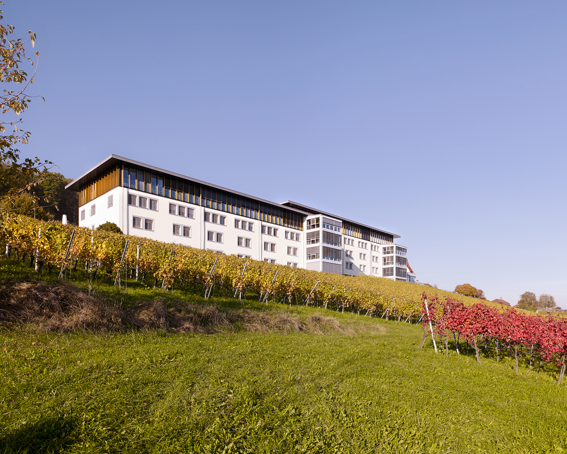 : Klinik Bethesda Aufstockungen, Tschugg, bauzeit architekten