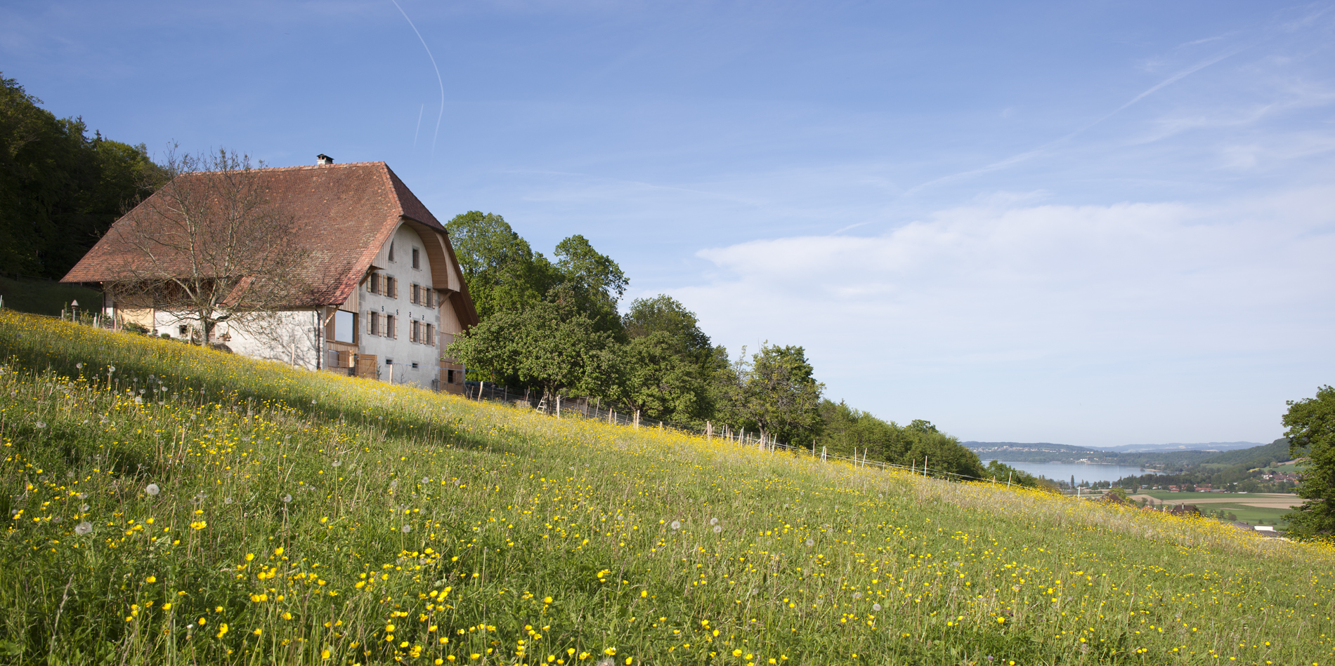 : Umbau Bauernhaus Aentscherz, Tschugg, bauzeit architekten