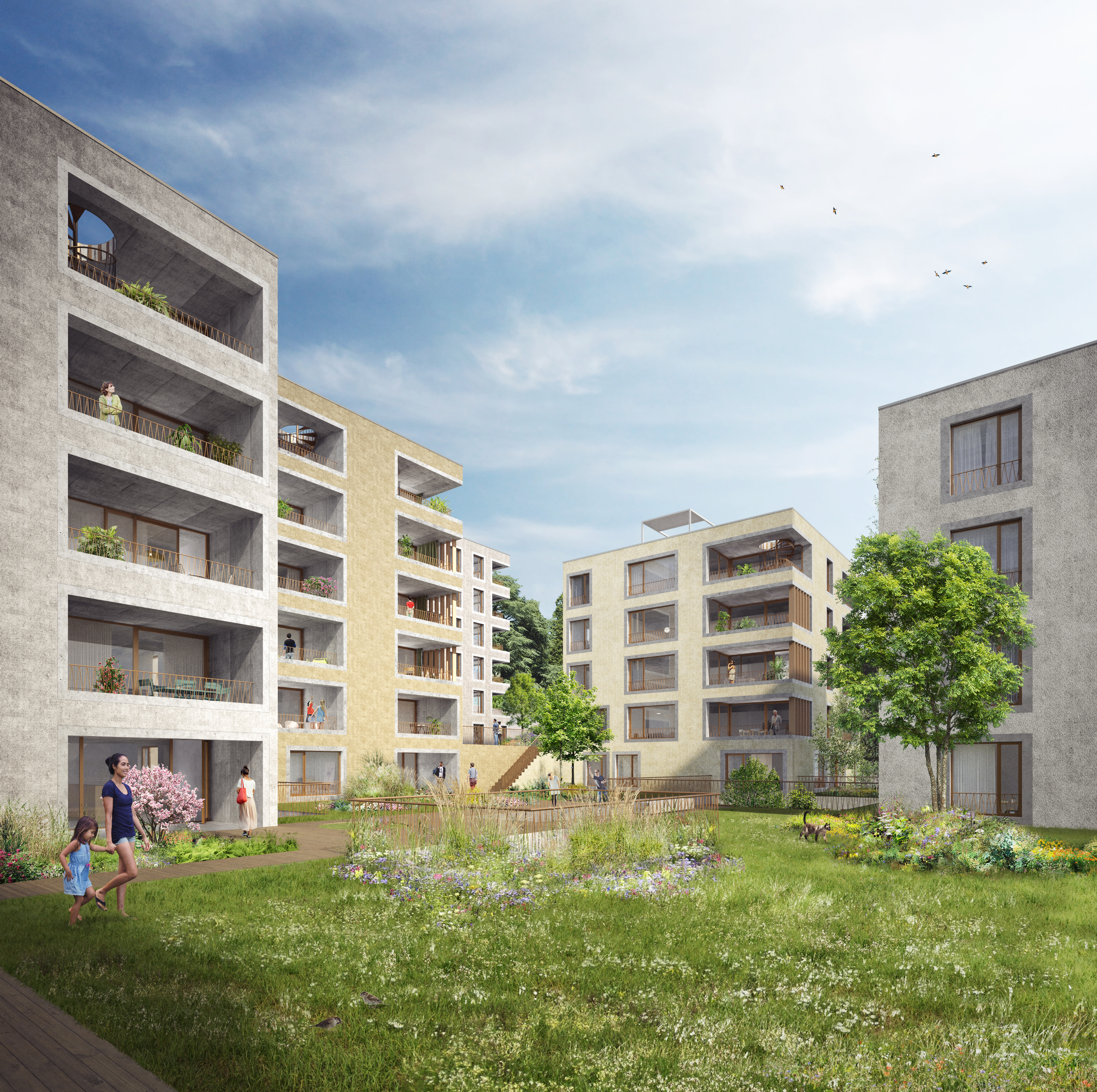 : Logements et surfaces administratives ECA, Pully, bauzeit architekten